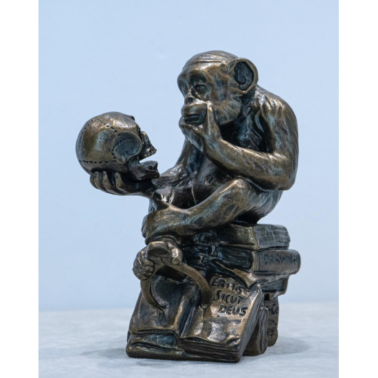 El Mono "Darwin" The Darwin Monkey