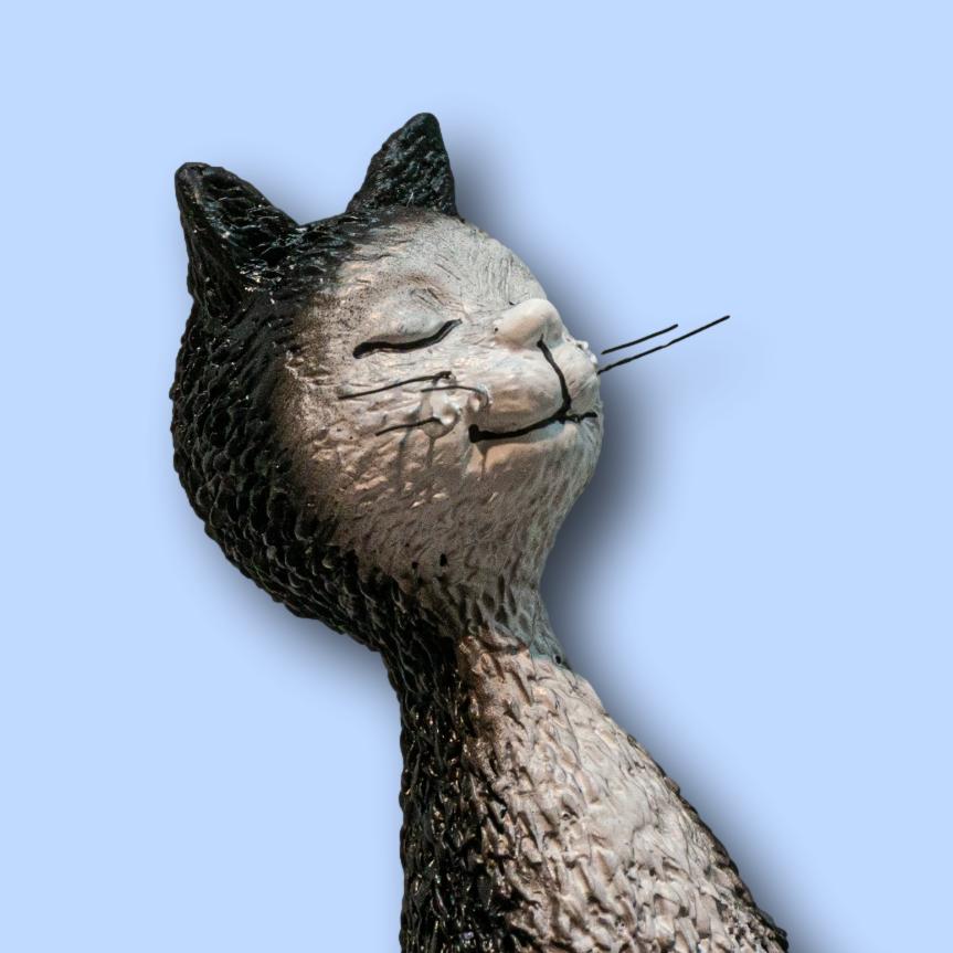 Gata Cochecito