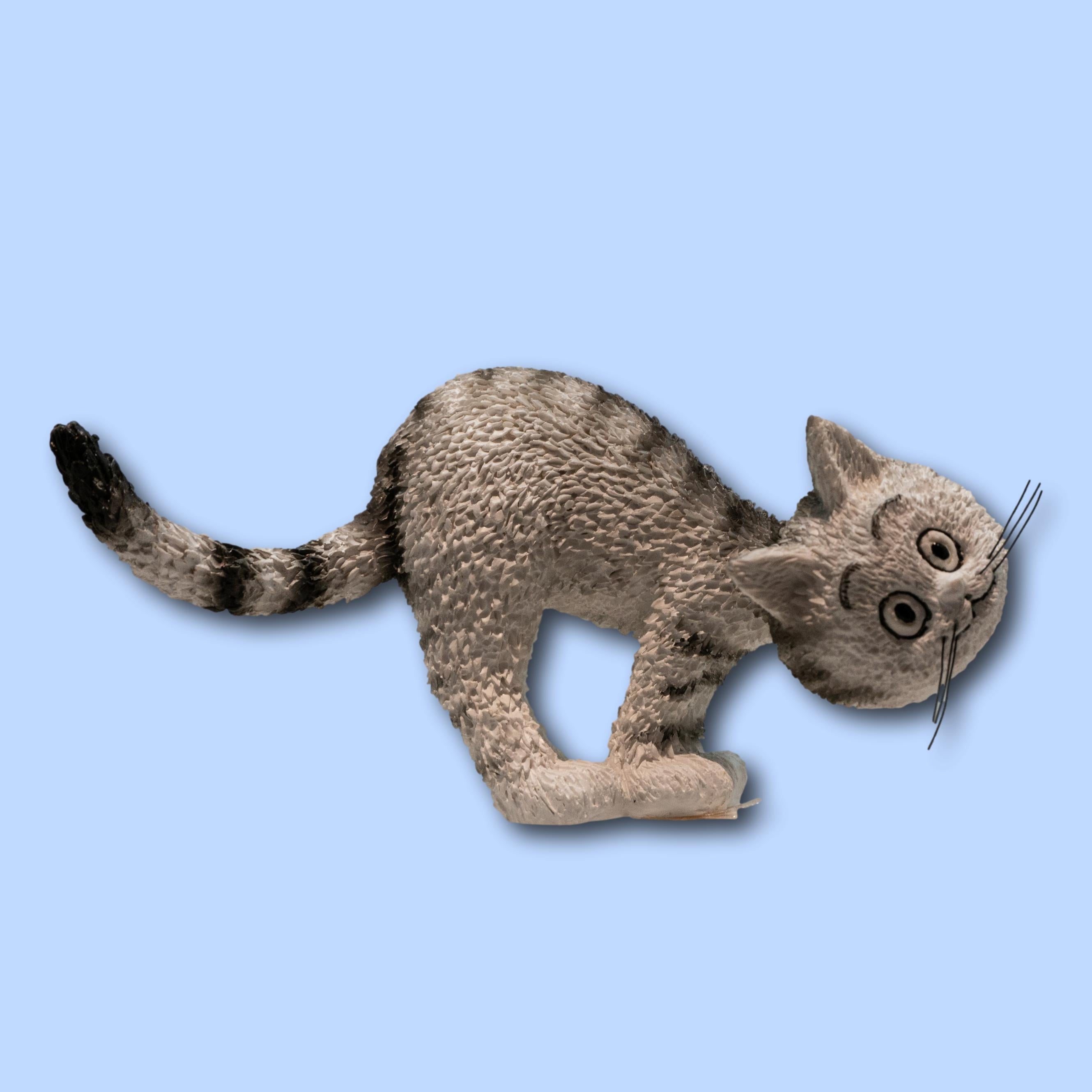 Gato curioso
