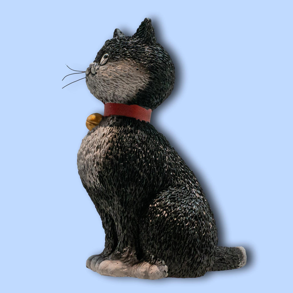 Gato Cascabel
