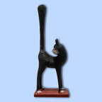 Gato Cauteloso