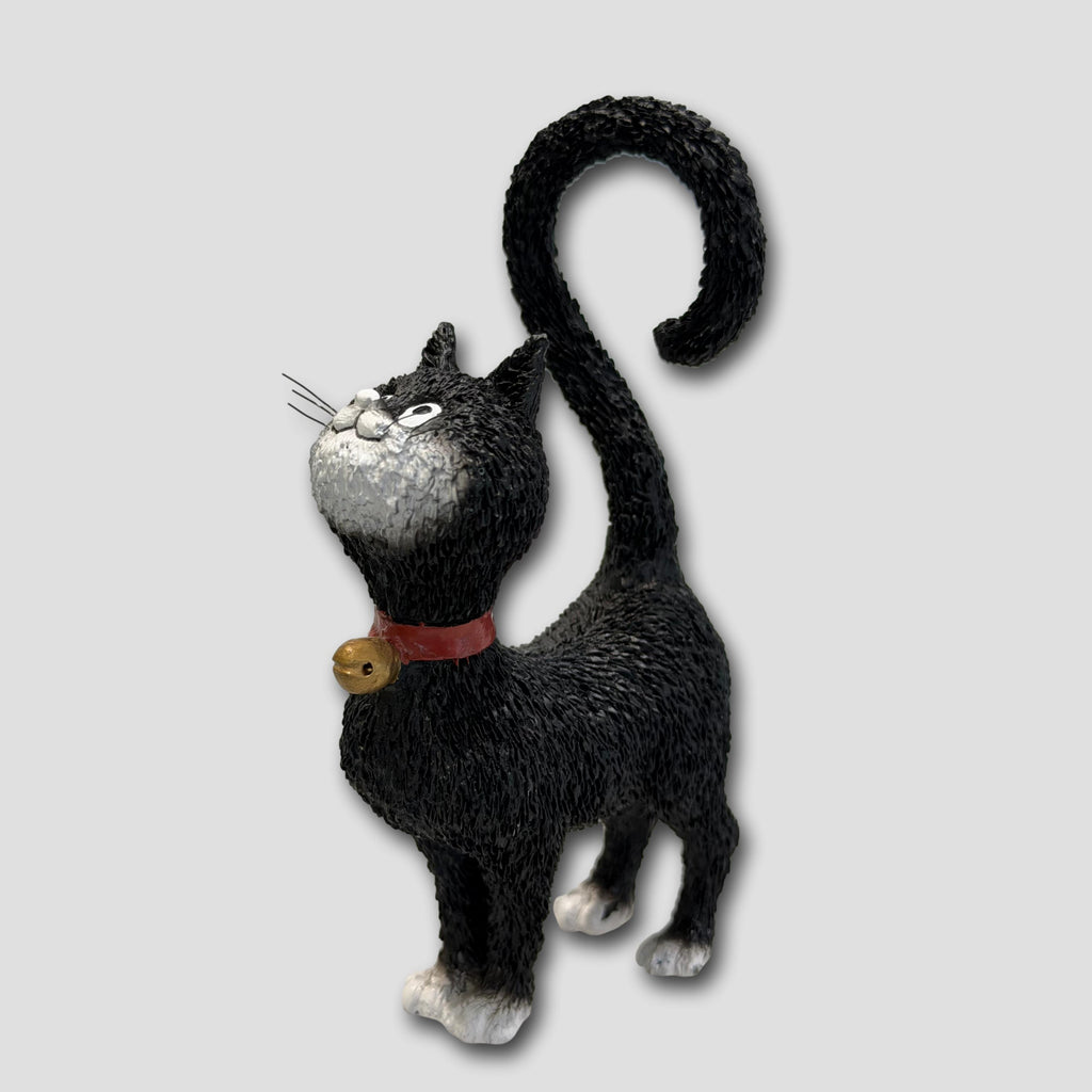 GATO SEÑORITO NEGRO #DUB 57