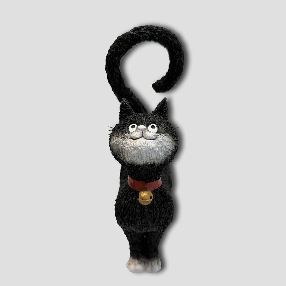 GATO SEÑORITO NEGRO #DUB 57
