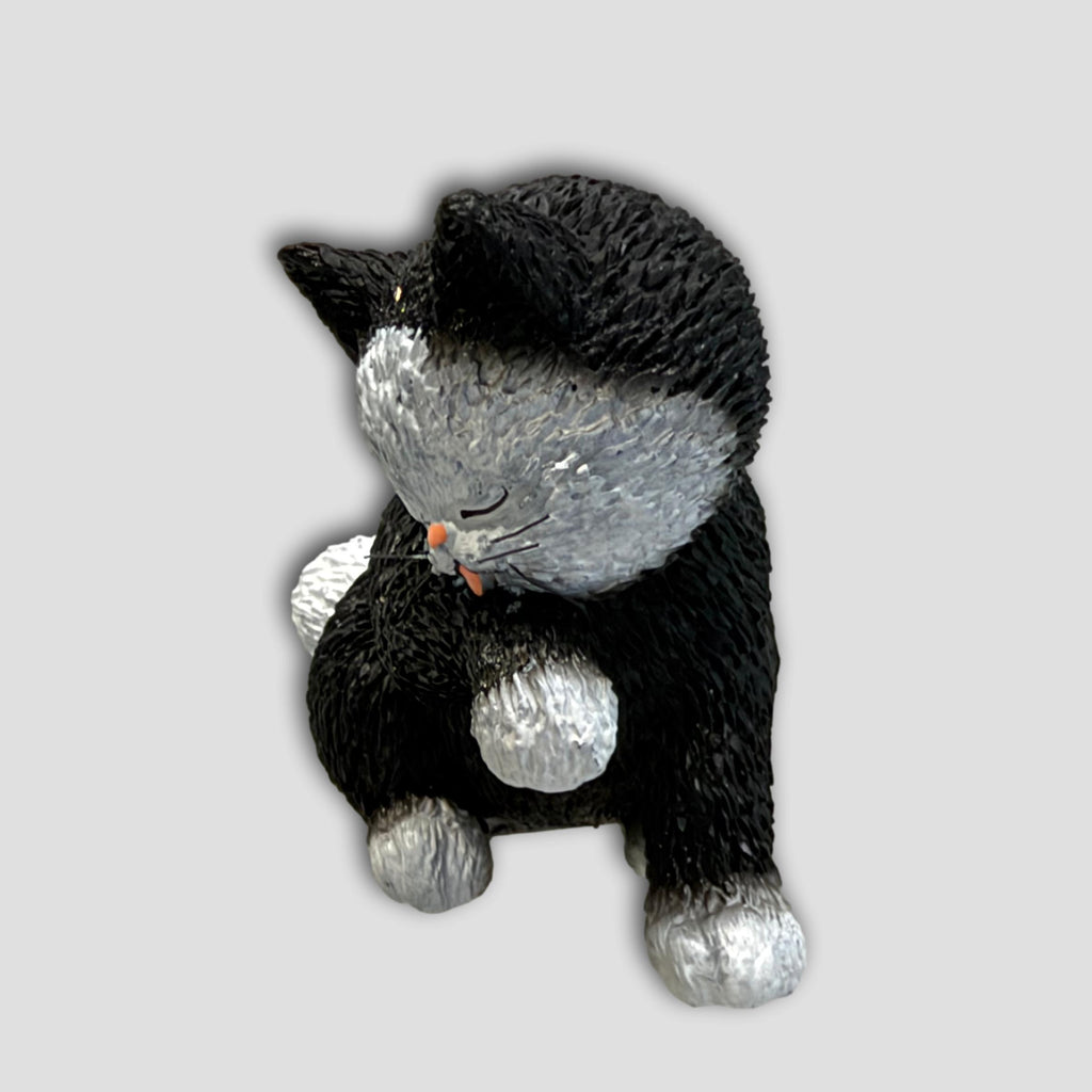 GATO LAMIENDOSE #DUB 64
