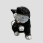 GATO LAMIENDOSE #DUB 64