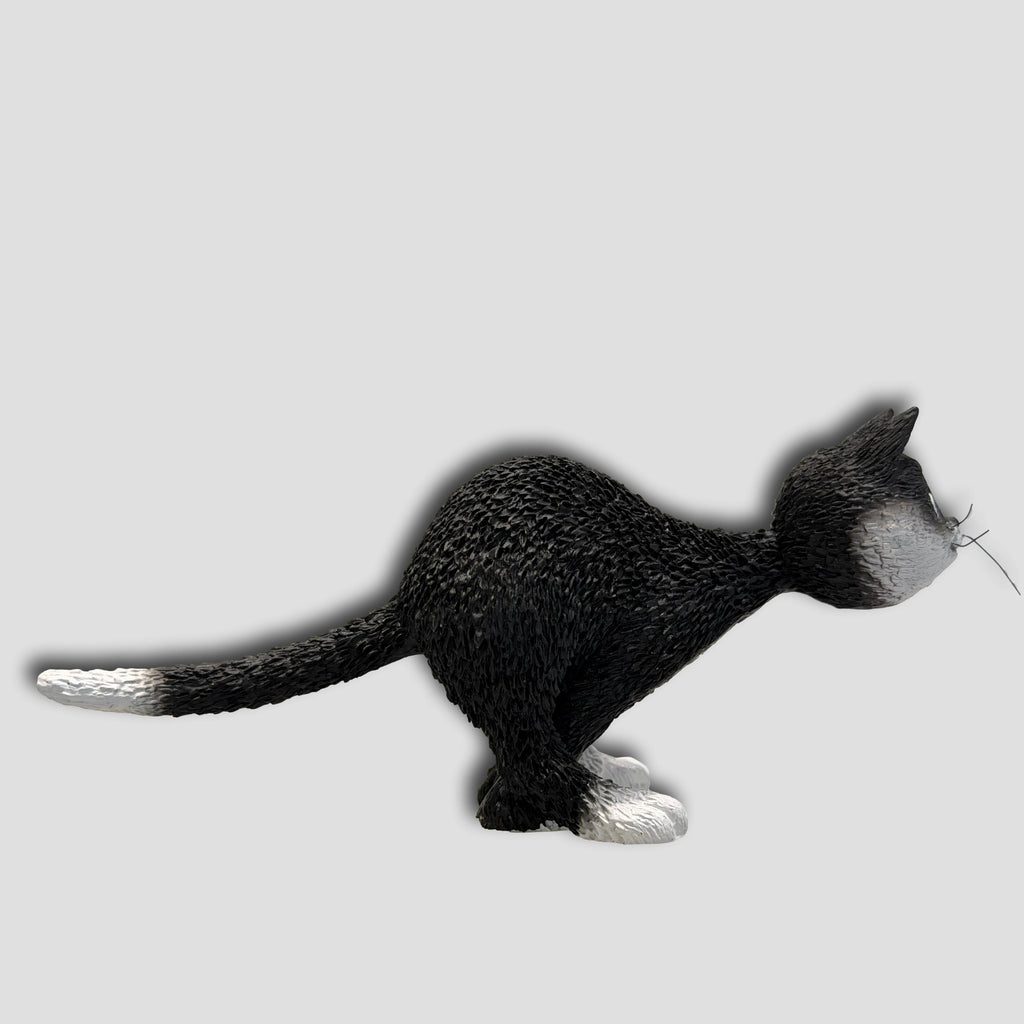 GATO SORPRENDIDO DUB 82