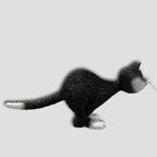 GATO SORPRENDIDO DUB 82