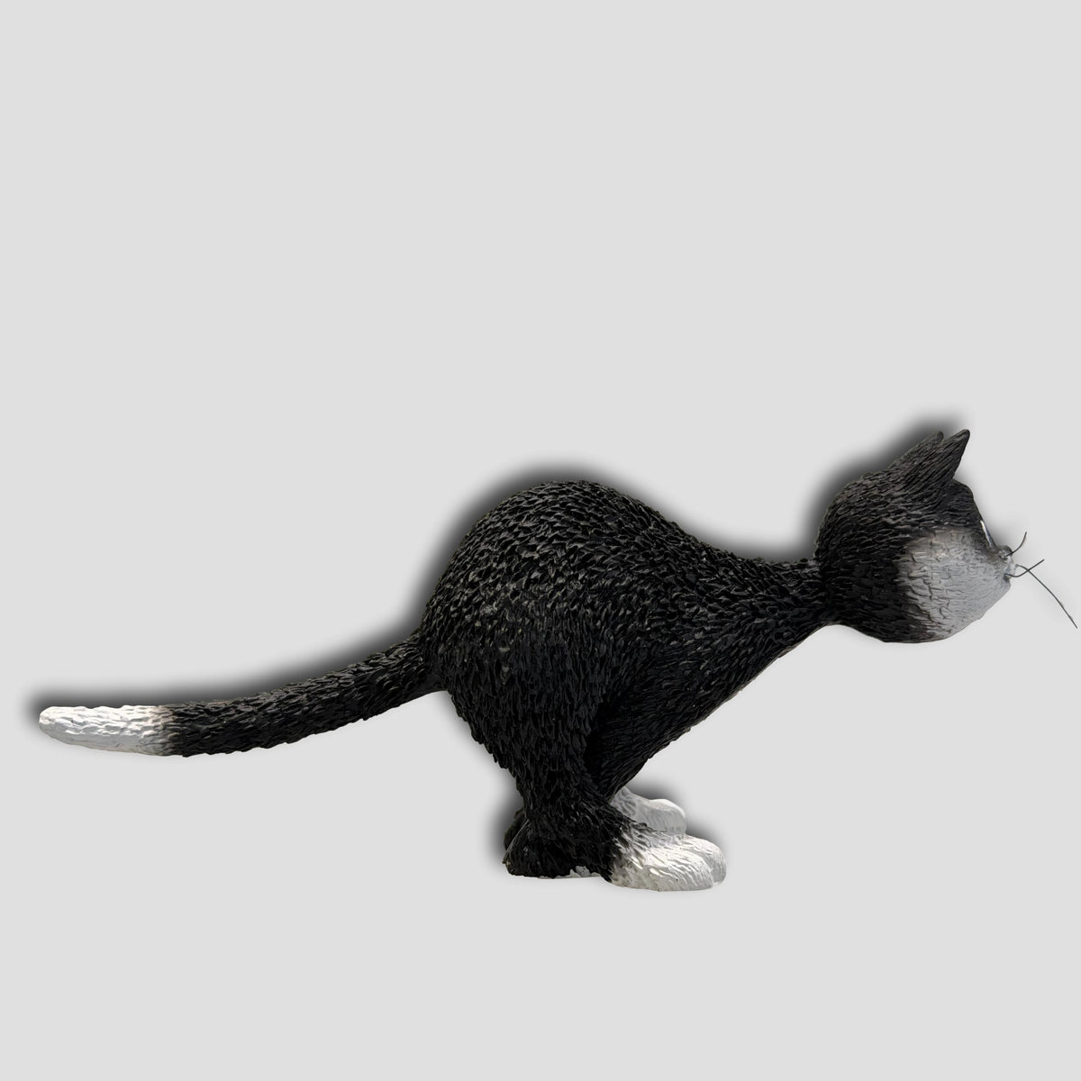 GATO SORPRENDIDO DUB 82