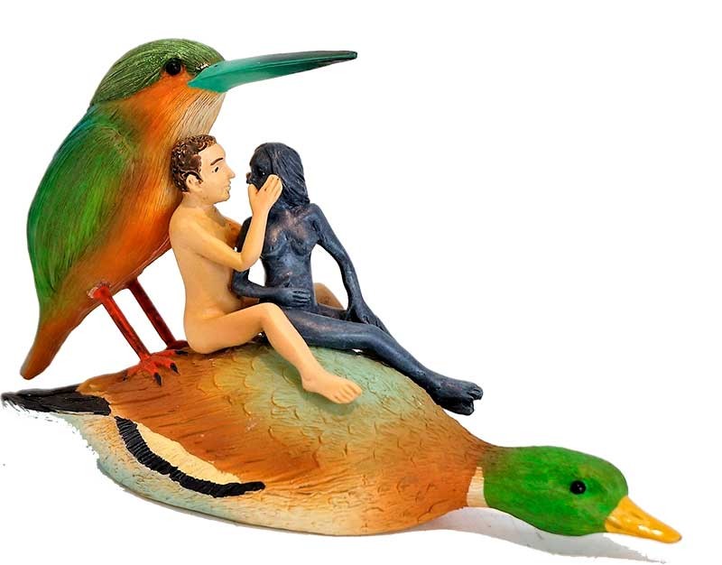 Amor en pareja en un pato