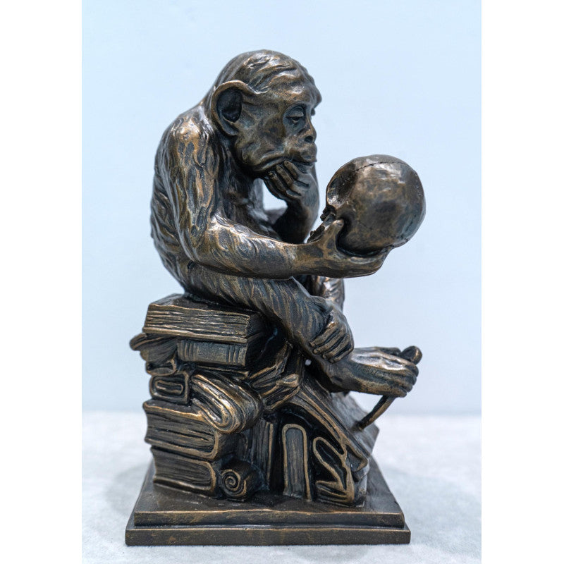 El Mono "Darwin" Grande "The Darwin Monkey"