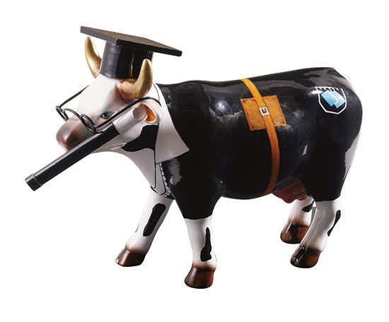Cow Doutora