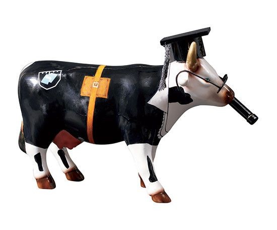 Vache Doctoresse