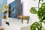 Célébration Moo York