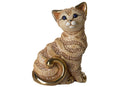 Gato Ginger