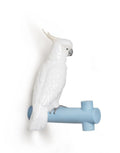 Parrot Hang II