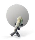 Parrot Vanity