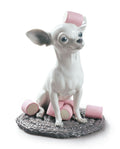 Chihuahua con Marshmallows