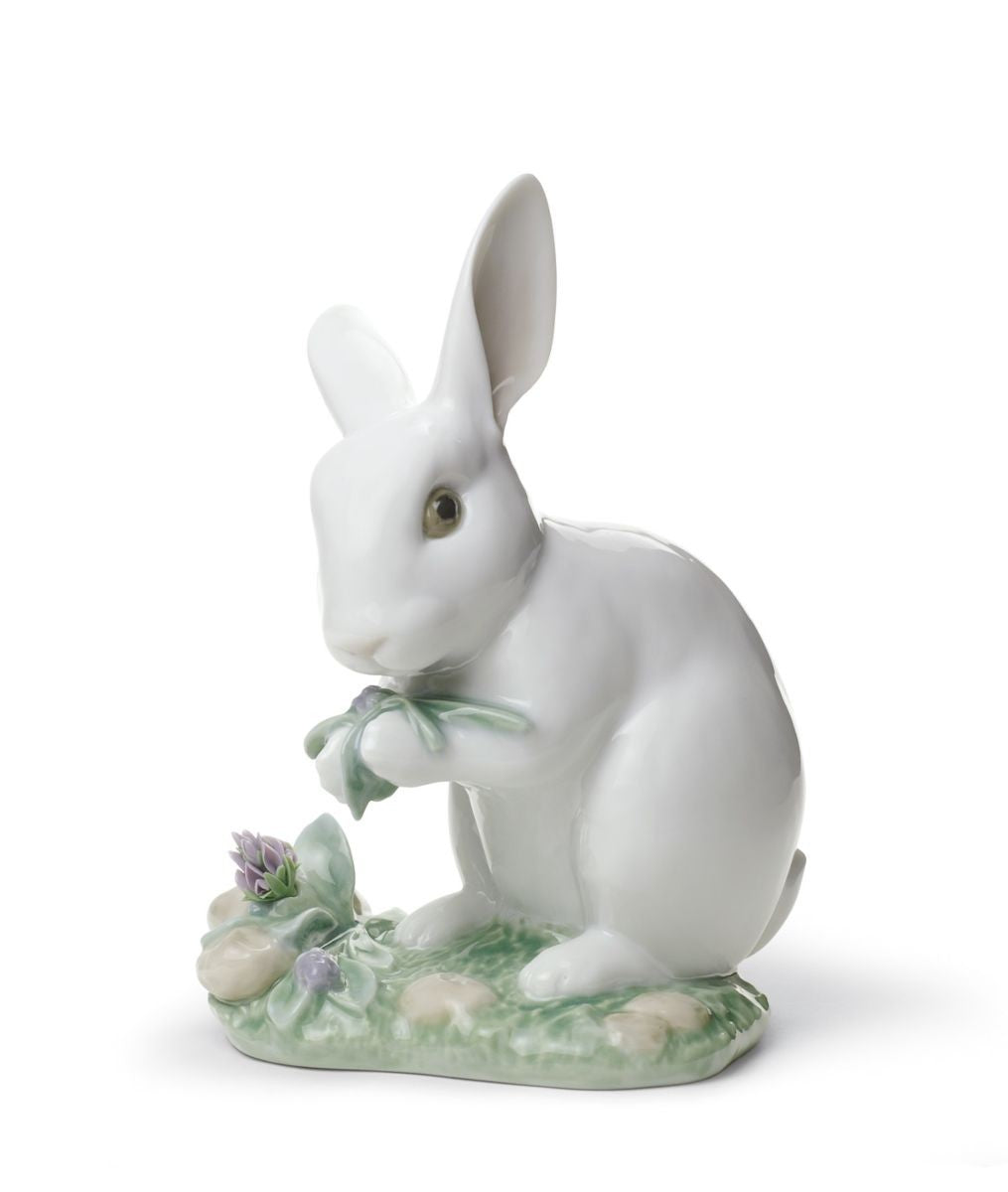 El conejo