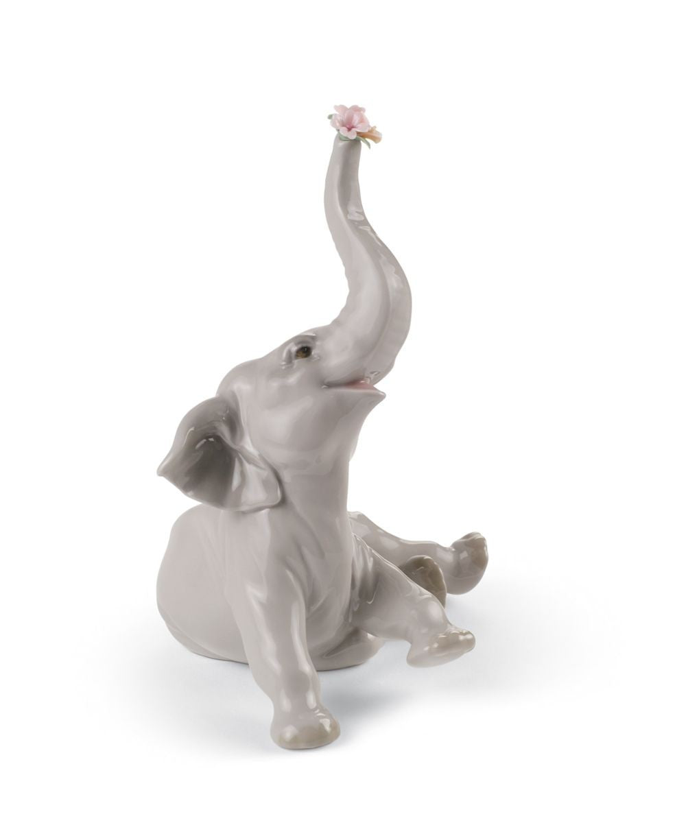 Elefante beb� con flor rosa