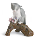 Estaci�n florida - gato