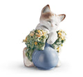 Gatito dormil�n