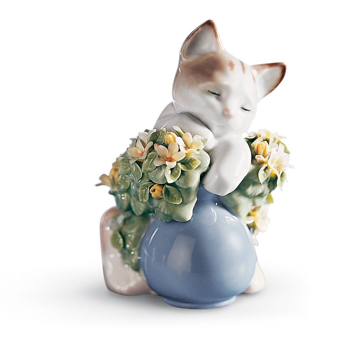 Gatito dormil�n