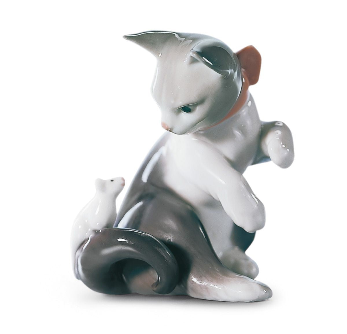 Gatito pasmado