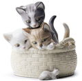 Gatitos curiosos