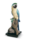 Guacamayo