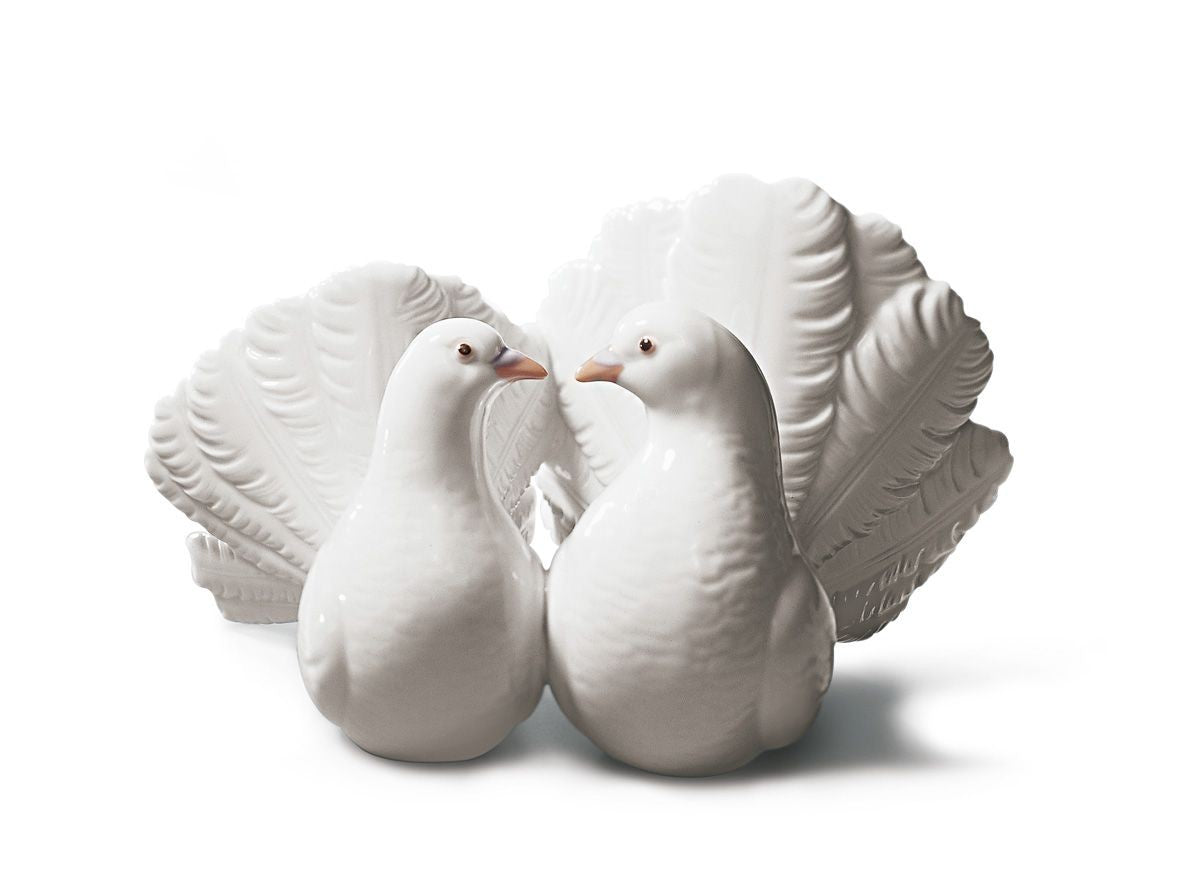 Pareja de palomas