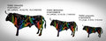 TORO GUIDI PEQUE�O